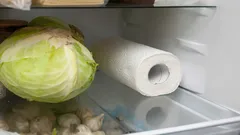 Hier ist der Grund, warum das Einlegen eines Papiertuchs in den Kühlschrank ein Geheimnis ist, das Ihnen das Leben erleichtern wird.