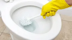 Ein halbes Glas und eine Toilettenschüssel wie neu. Interessante Möglichkeiten, alte Sanitärarmaturen zu reinigen