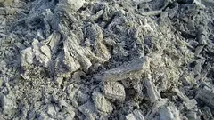 Warum wir Asche falsch im Garten ausbringen: 3 Fehler beim Ausbringen, die Pflanzen nicht mögen – und der Boden auch nicht. Und wann sie nicht nützlich ist