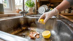 Warum ich aufgehört habe, Eierschalen wegzuwerfen – und wo sie wirklich funktionieren