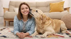 10 Beweise dafür, dass Ihr Hund Sie beschützt