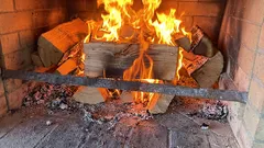 Welche Holzarten dürfen nicht zu Hause verbrannt werden: Diese Arten wärmen nicht