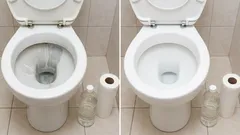 Eine Rolle Toilettenpapier und Essig: eine einfache Methode, um Kalkablagerungen in der Toilettenschüssel zu entfernen und ihr ursprüngliches Aussehen wiederherzustellen.