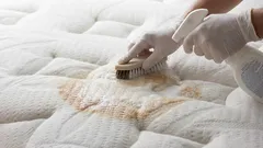 Wie man eine Matratze ohne chemische Reinigung leicht von Flecken befreit: effektive Lifehacks